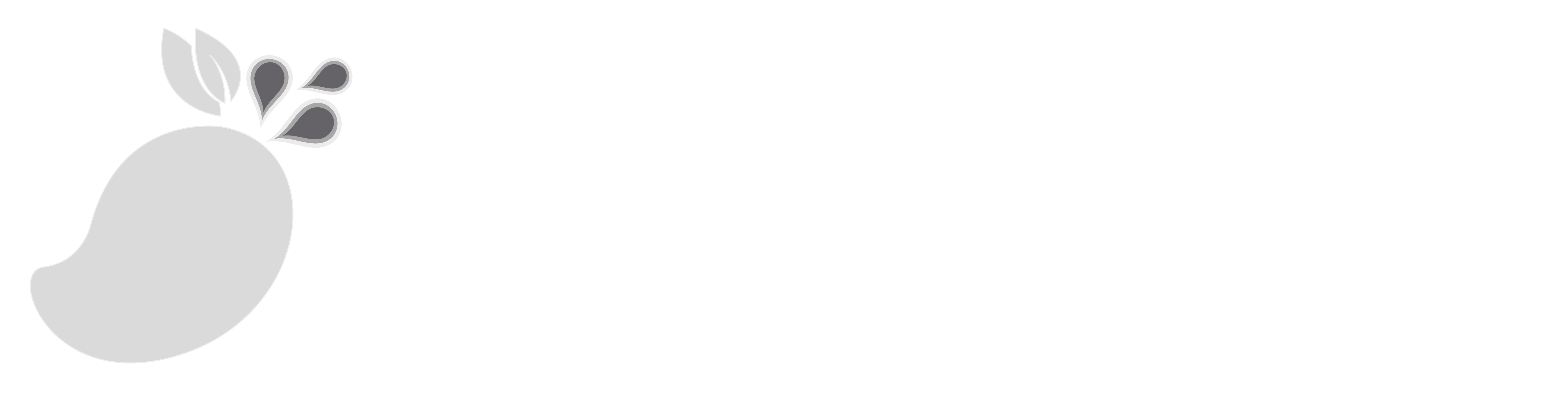 MangoMojada